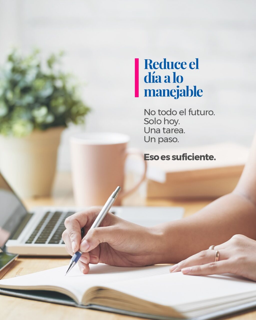 Instagram post from casa_mall. This post is in position 9.