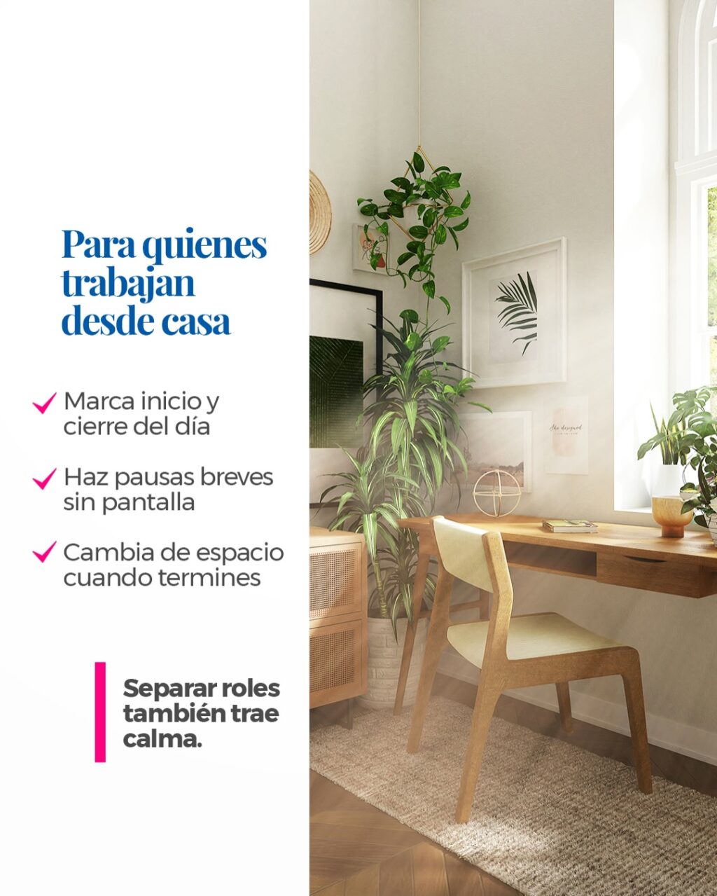 Instagram post from casa_mall. This post is in position 7.