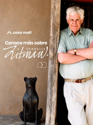 Instagram post from casa_mall. This post is in position 1.